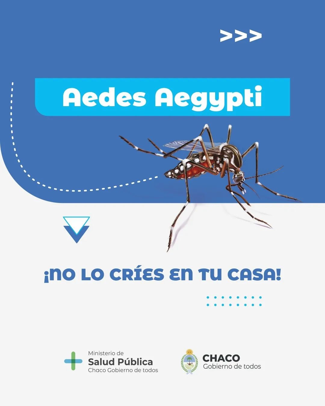 *DENGUE Y CHIKUNGUNYA: EL GOBIERNO INTENSIFICA TAREAS DE PREVENCIÓN Y LLAMA A LA COMUNIDAD A ELIMINAR CRIADEROS*