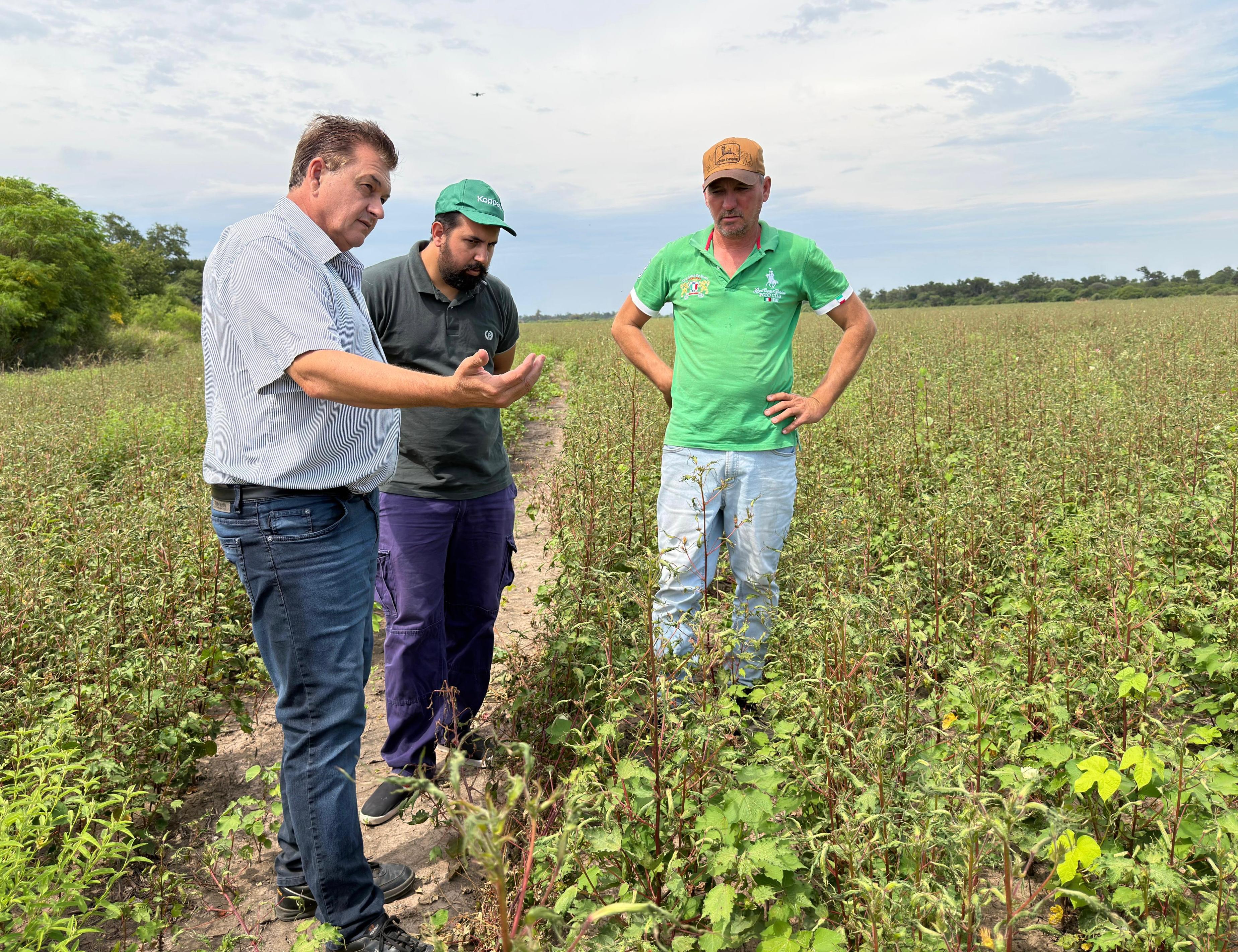 LAS BRE&Ntilde;AS: EL GOBIERNO PROVINCIAL ENDURECE CONTROLES CONTRA EL USO DE HERBICIDAS PROHIBIDOS