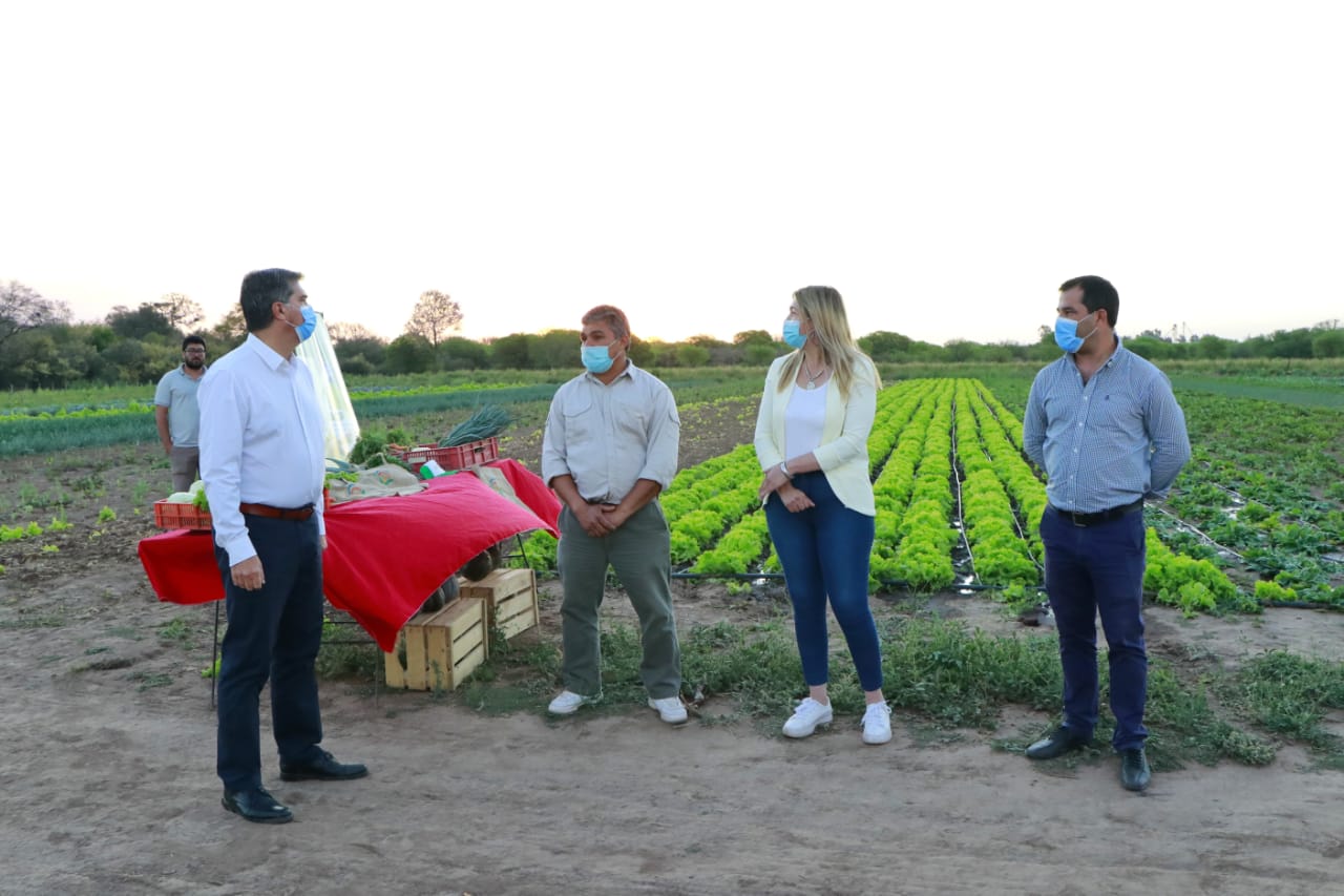 DÍA DEL AGRICULTOR Y AGRICULTORA: EL GOBERNADOR VISITÓ CAMPOS EN COLONIA RIVADAVIA Y AVIA TERAI