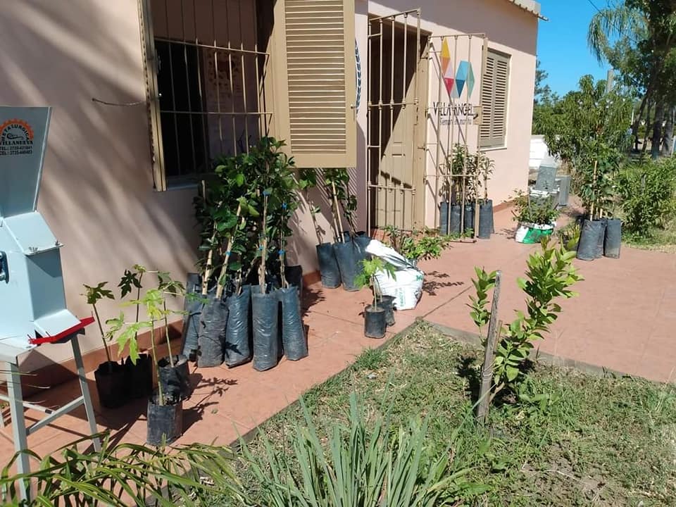 VILLA ANGELA: EL MUNICIPIO REALIZÓ LA PRIMERA COMERCIALIZACIÓN DE CÍTRICOS DEL AÑO A BAJO COSTO