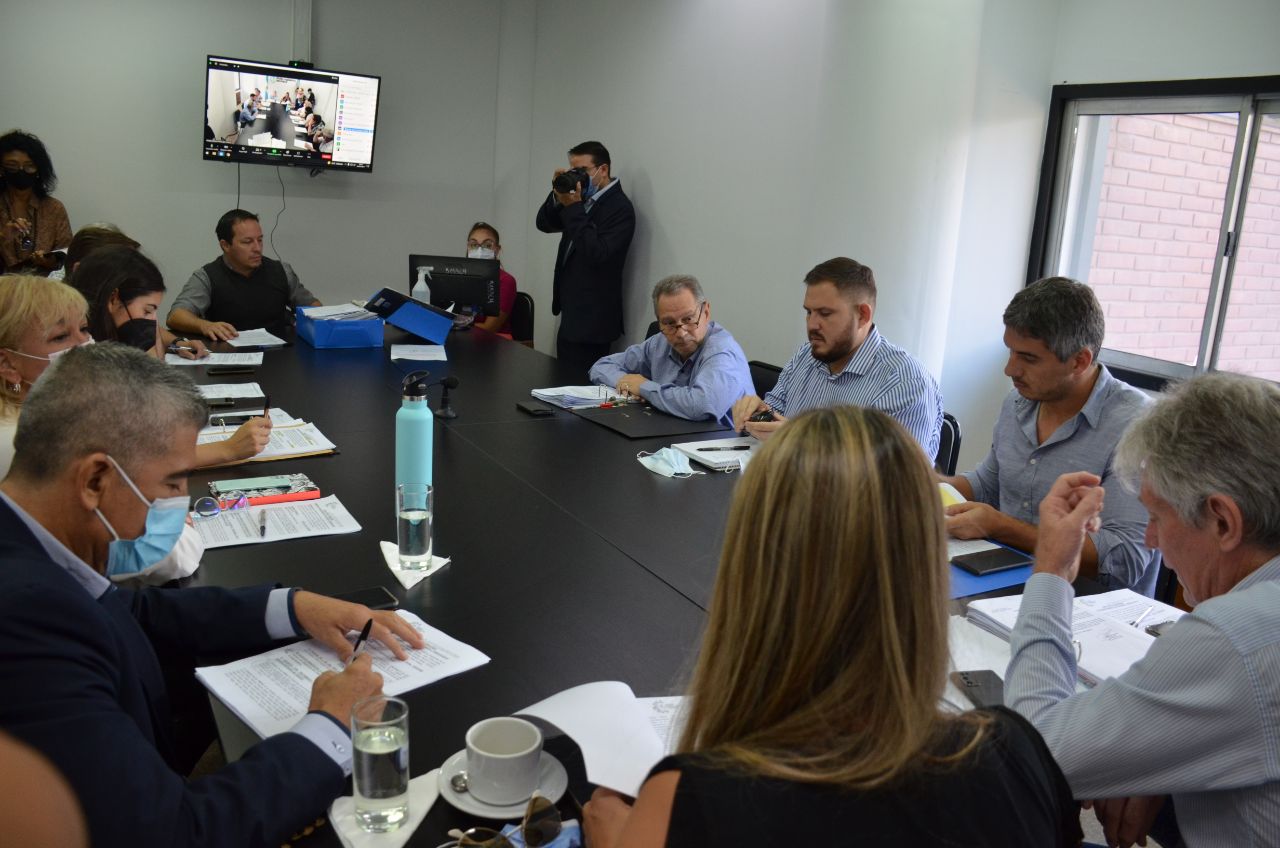 _Sager preside la comisión de Hacienda y Presupuesto_  *Diputados dio dictamen favorable a la prórroga de la emergencia económica*