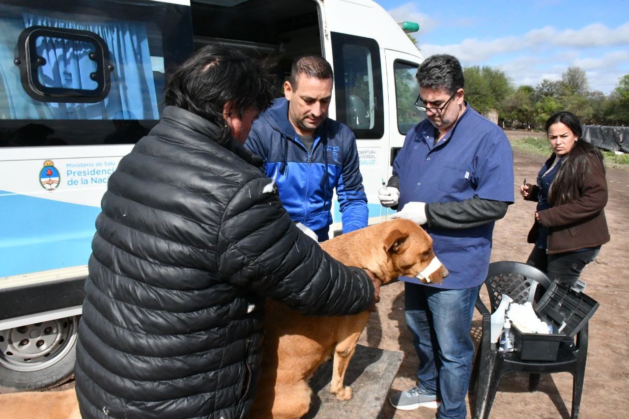 SÁENZ PEÑA: OPERATIVO DE ZOONOSIS EN EL BARRIO MATADERO POR UN CASO DE LEISHMANIASIS VISCERAL
