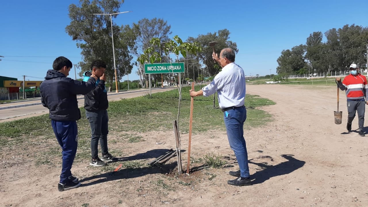 VILLA ANGELA: EL MUNICIPIO CONTINÚA CON LA REFORESTACIÓN