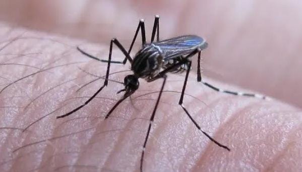 *SALUD PÚBLICA DESMIENTE CASO MORTAL DE CHIKUNGUNYA EN UNA NIÑA Y SE SOLIDARIZA CON LA FAMILIA DE LA MENOR*