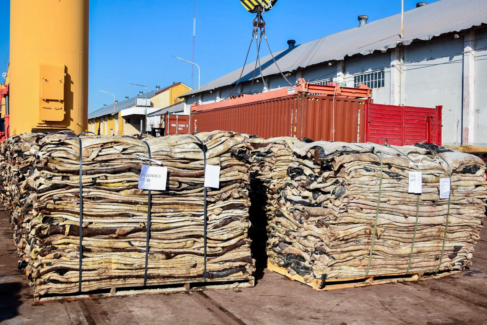 DESDE CHACO A CHINA: EL GOBERNADOR ZDERO CONSTATÓ OTRA HISTÓRICA JORNADA PARA EL PUERTO DE BARRANQUERAS
