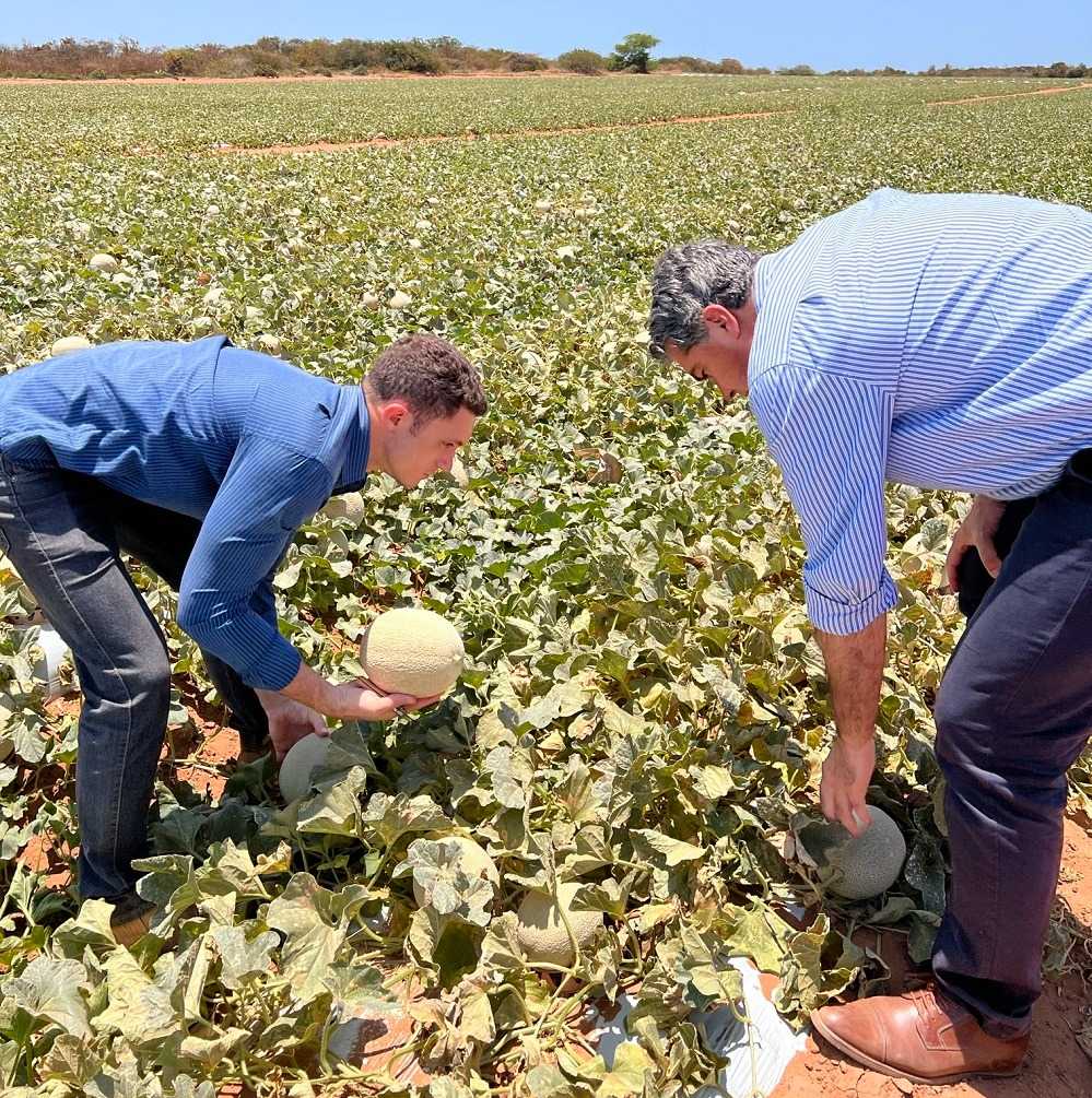 *POSIBLES INVERSIONES EN ALGODÓN Y FRUTAS: EN BRASIL, CAPITANICH RECORRIÓ DOS EMPRESAS AGROINDUSTRIALES*
