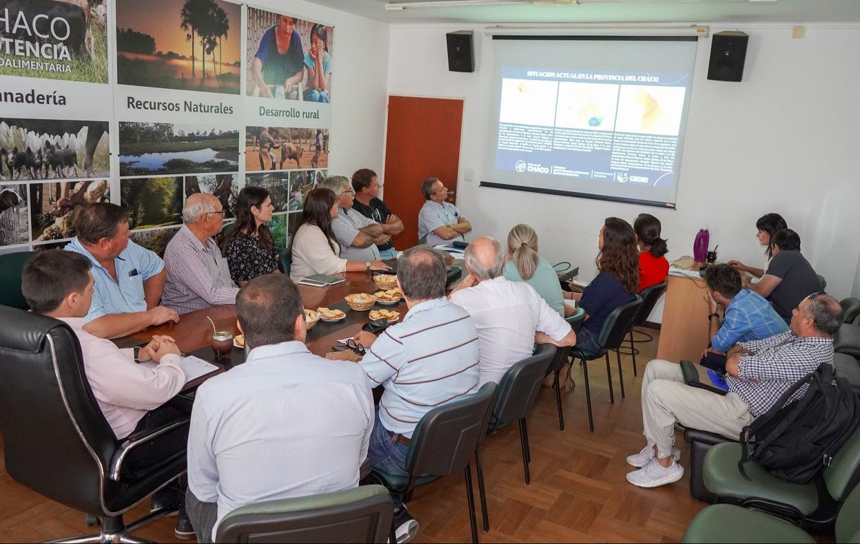 PROPONEN DECLARAR LA EMERGENCIA AGROPECUARIA EN 6 DEPARTAMENTOS DEL CHACO, ANTE LA OLA DE CALOR Y EL DÉFICIT HÍDRICO